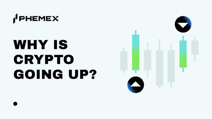 Theofey🩵 tweet media