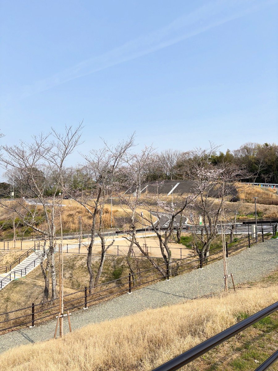 倉敷市 tweet media