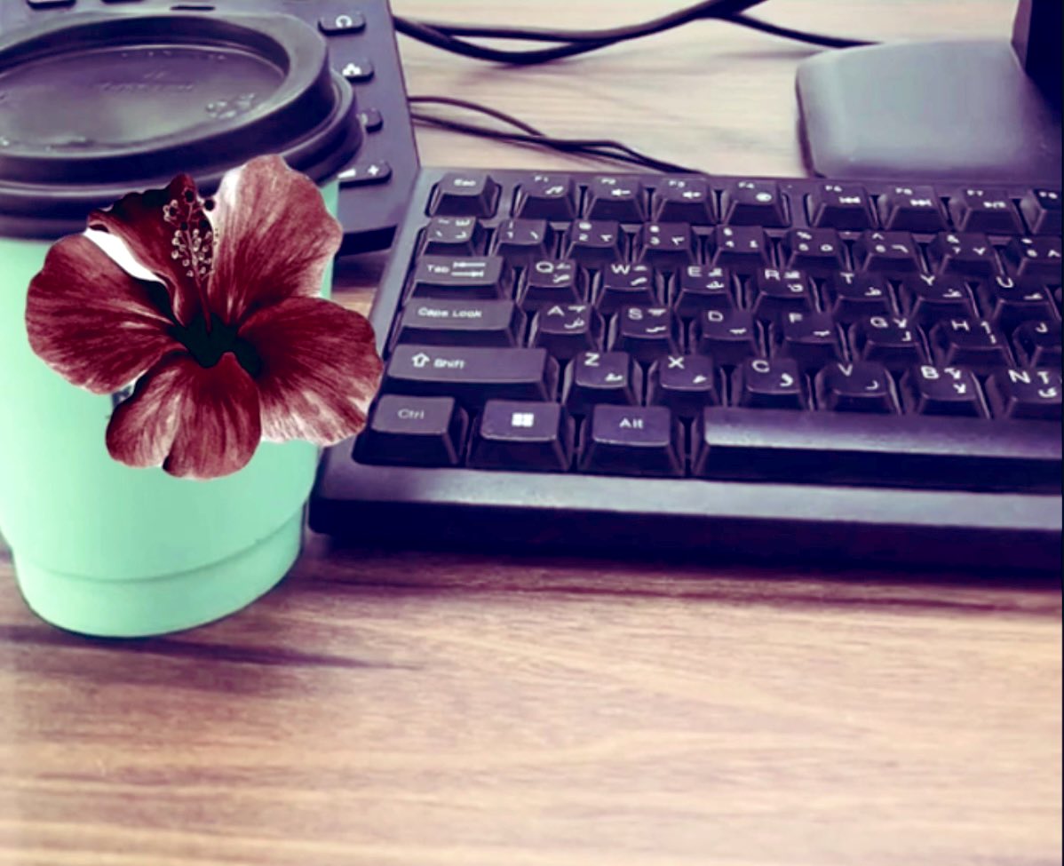 ملاك إلمطيري tweet media