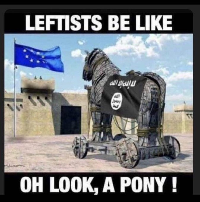 Ralph Now tweet media