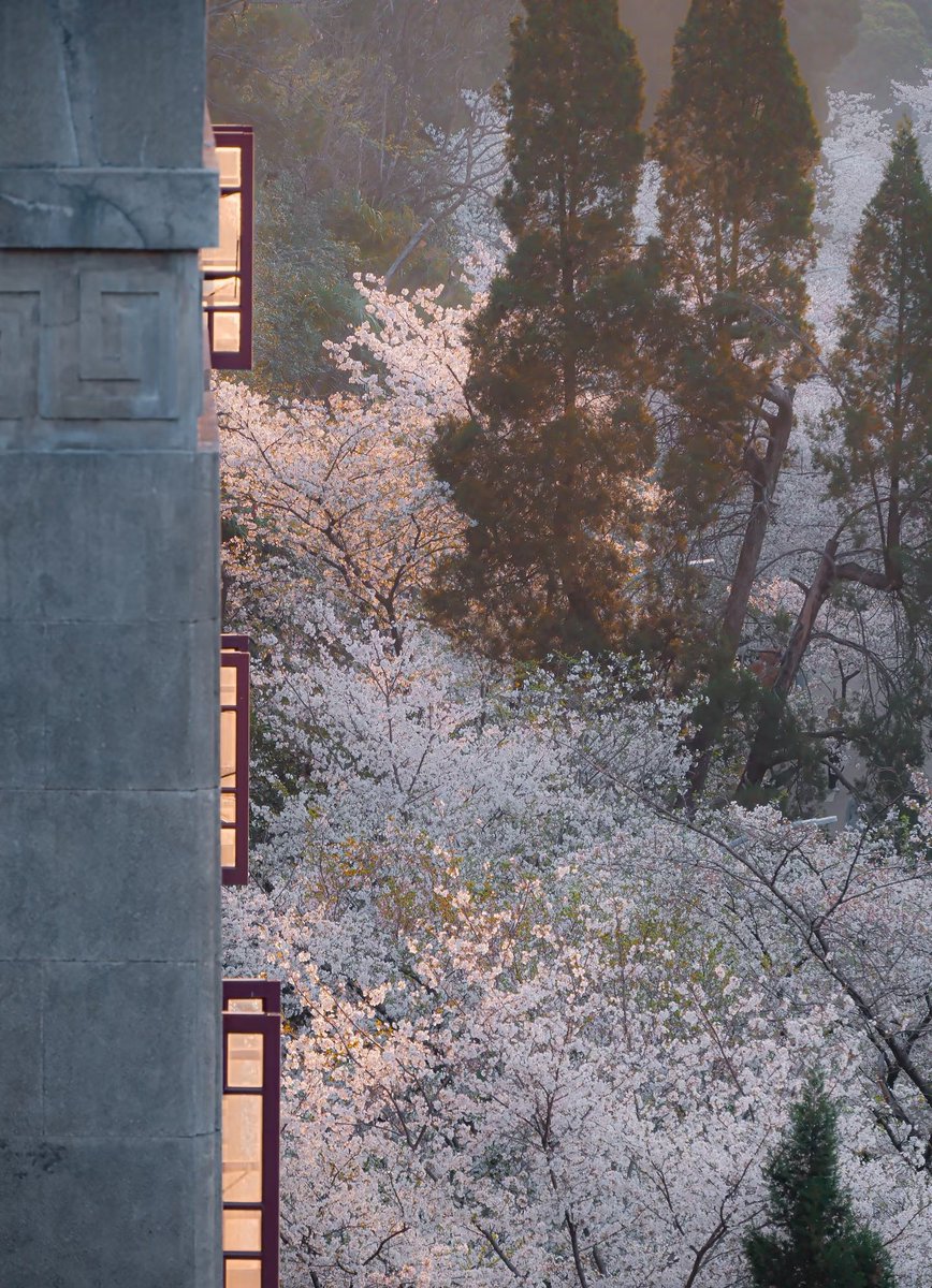 Aurora📷 tweet media