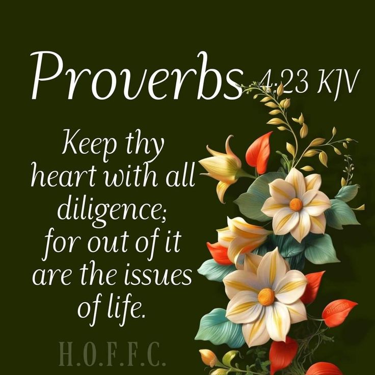 katya 🇳🇴 tweet media