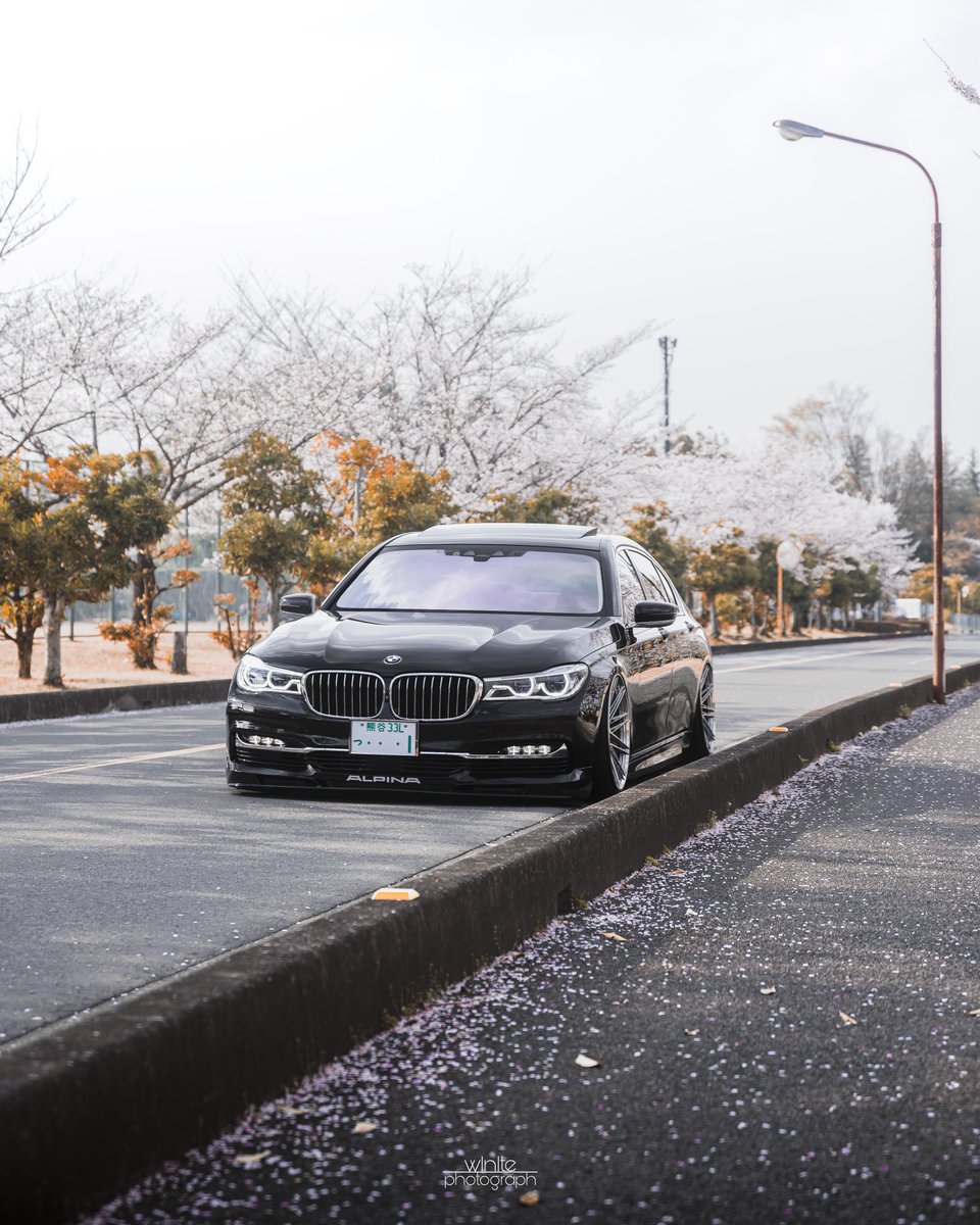 ほわいと tweet media