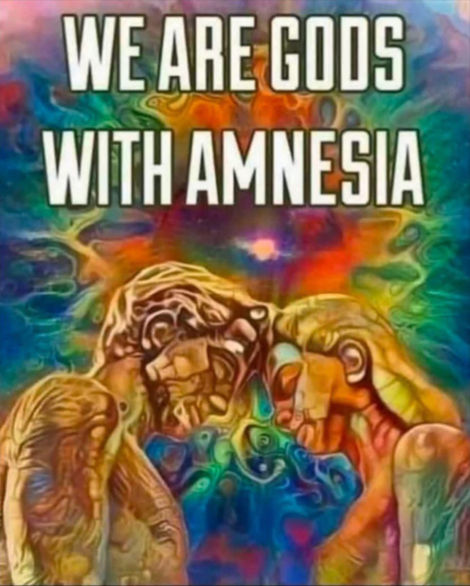 🧬Maxpein🧬 tweet media