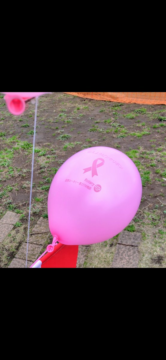 エールウィンド tweet media