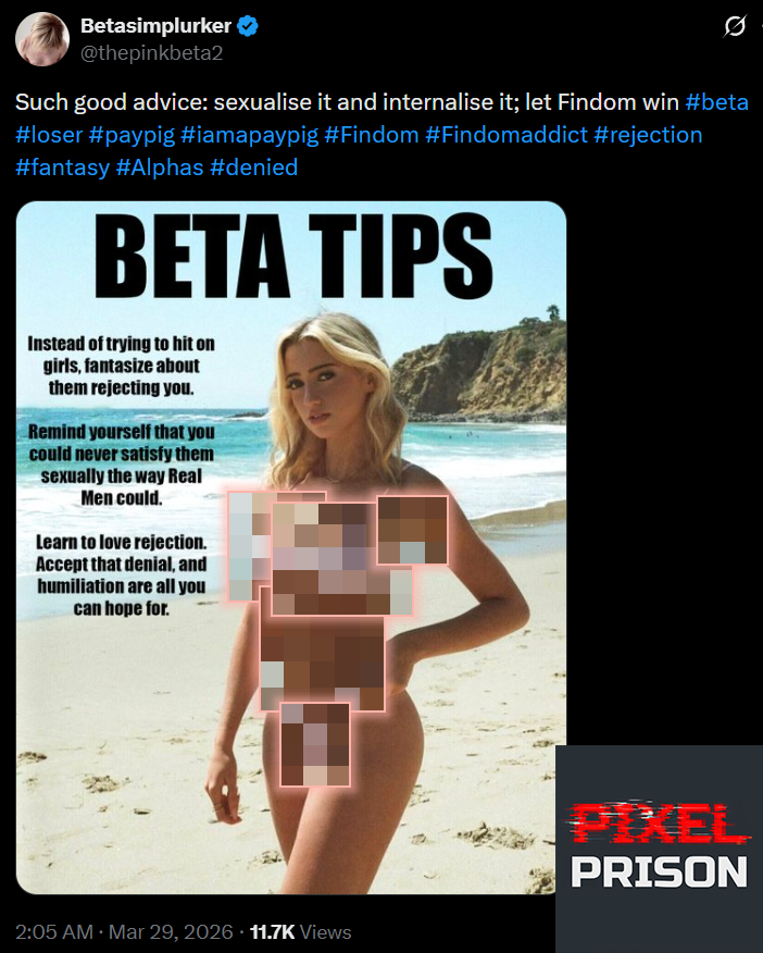 PixelPrisonApp's tweet photo. @thepinkbeta2 better to hide something from betas https://t.co/xDNdRo6gps