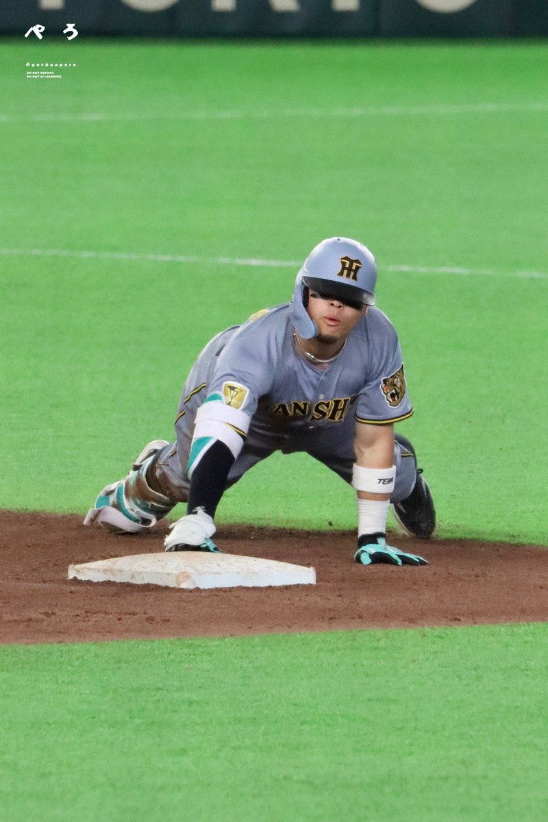 ぺろ㌠ tweet media