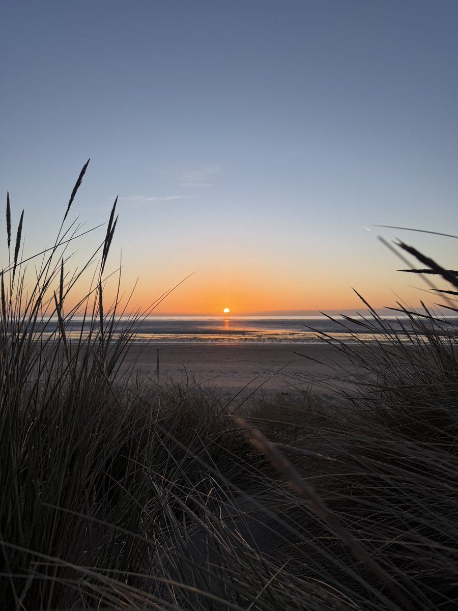 Holly 🐚🧜‍♀️☀️ tweet media