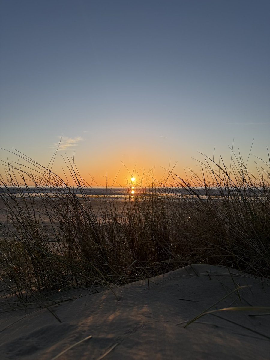 Holly 🐚🧜‍♀️☀️ tweet media