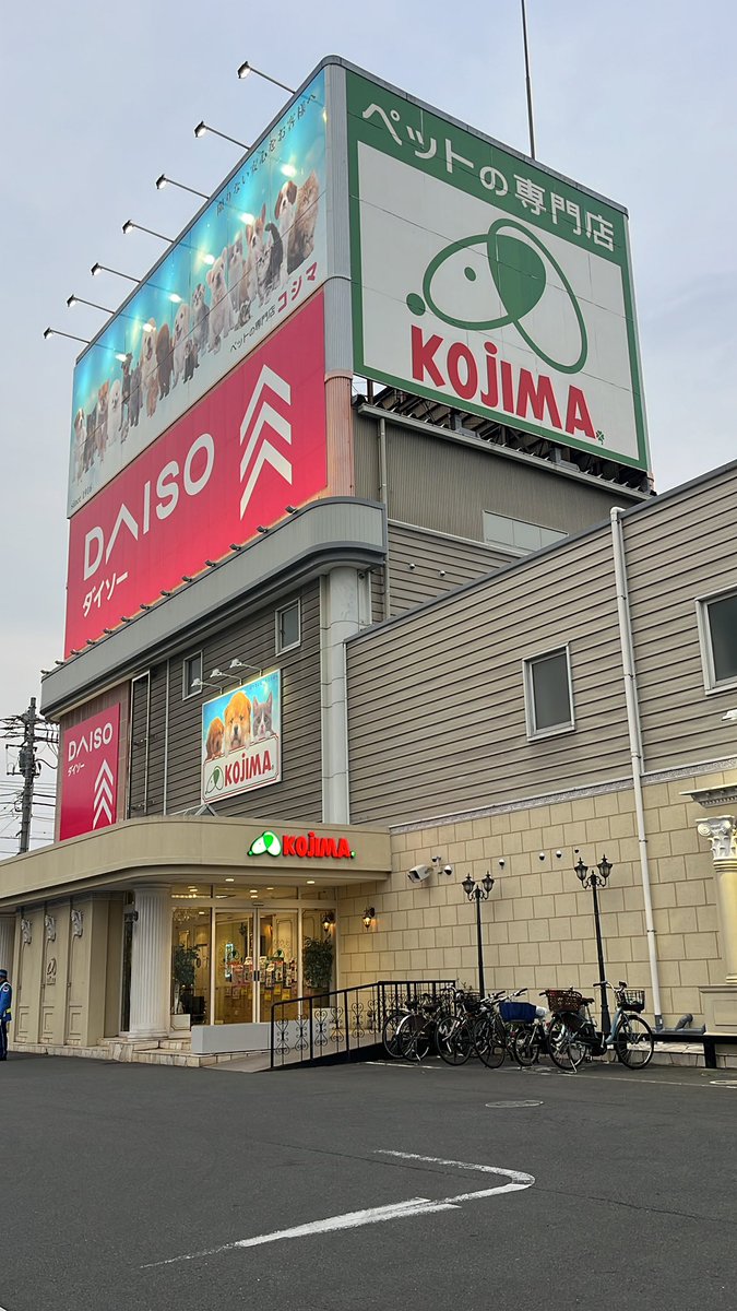 藤平@ペットの専門店コジマのツルピカドッグトレーナー 頭✨HEY‼️ tweet media