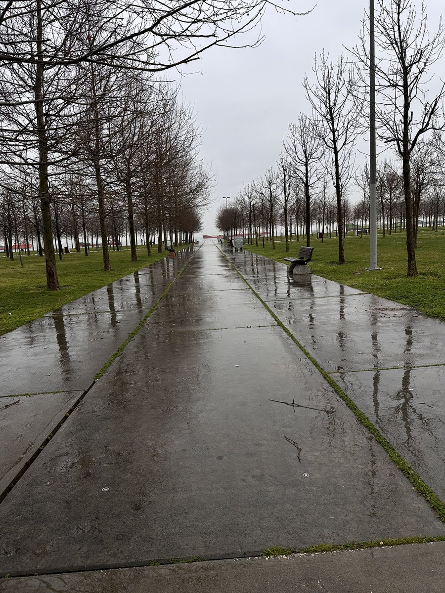 مـازن tweet media