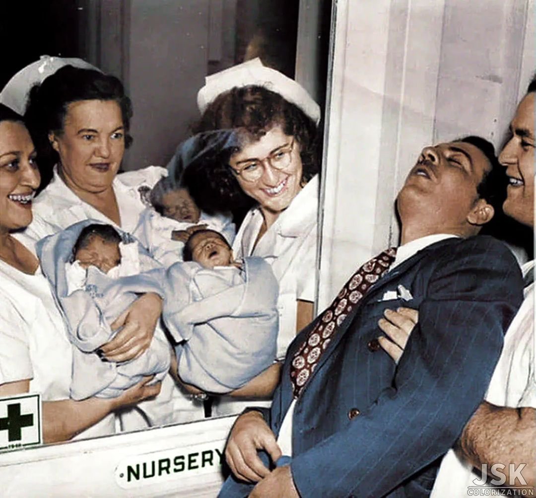 Wild Videos tweet media