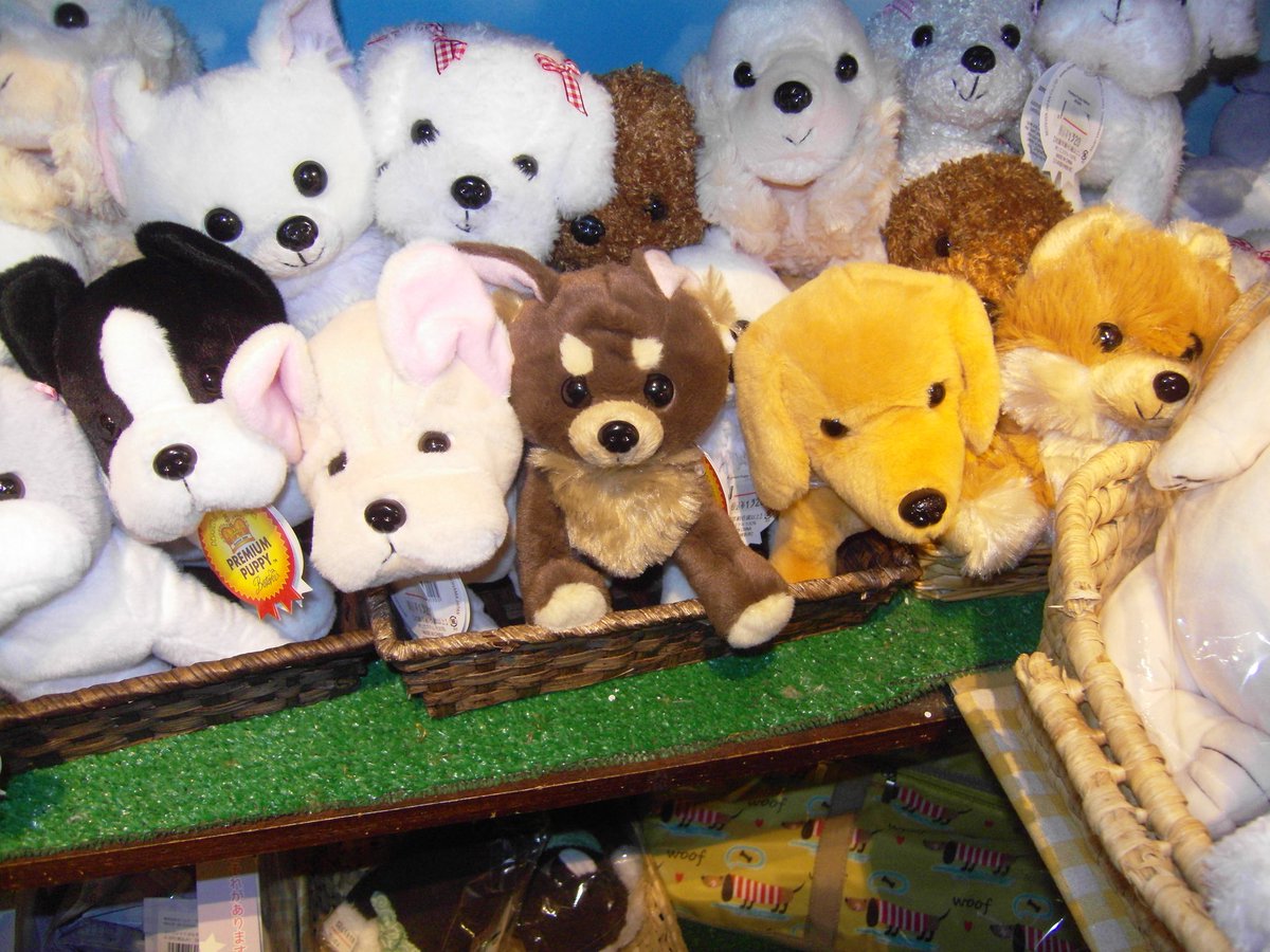 아카이헤드빙빙 tweet media