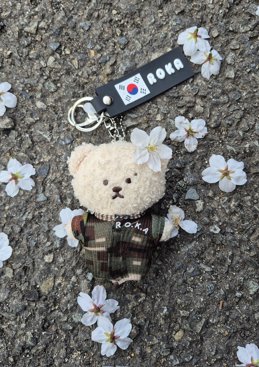 🌸🌸🌸🐯🫡🌸🌸🌸