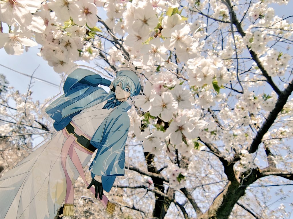 柚木🐿️ tweet media