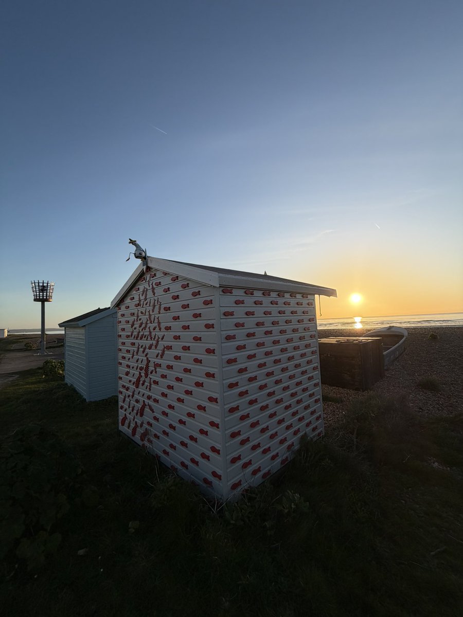 Holly 🐚🧜♀️☀️ tweet media