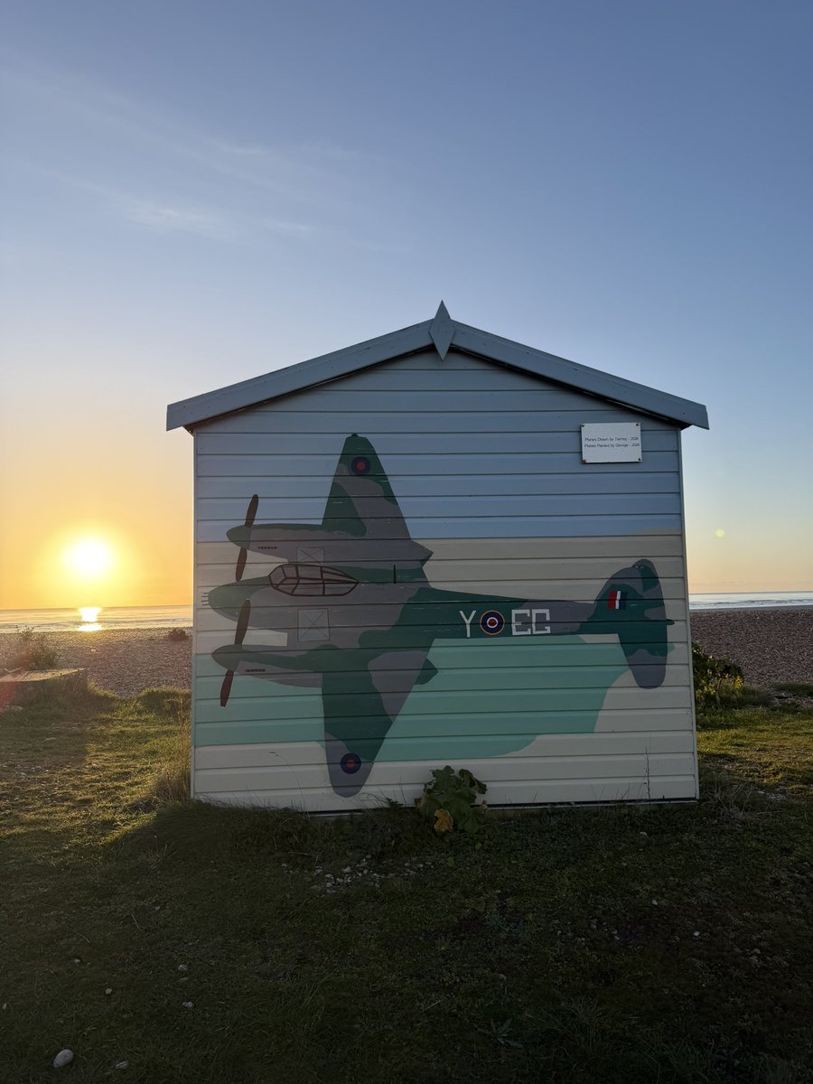 Holly 🐚🧜♀️☀️ tweet media