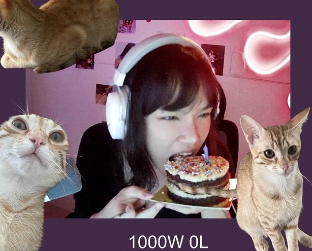 camila maldita tweet media