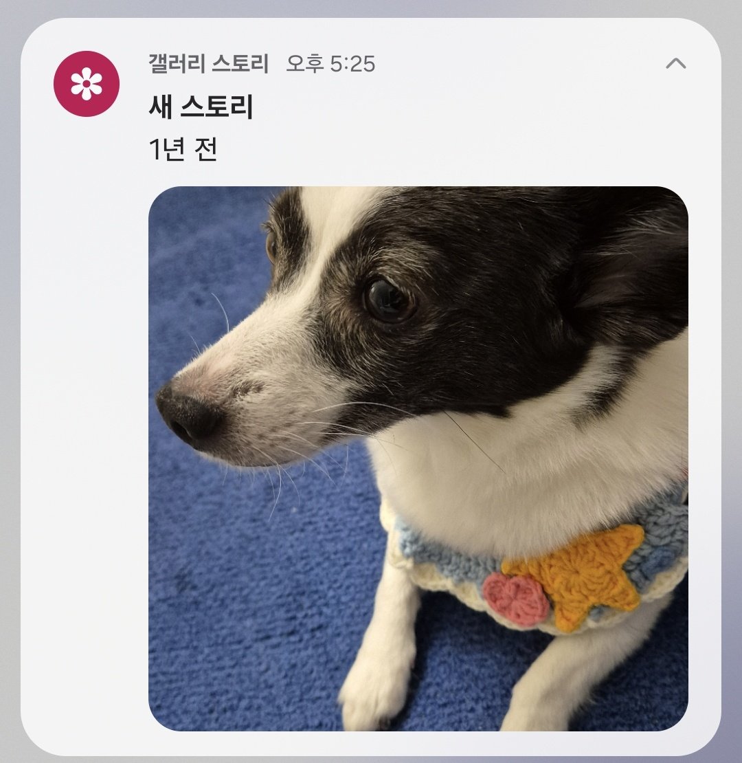 M雪🕯 tweet media