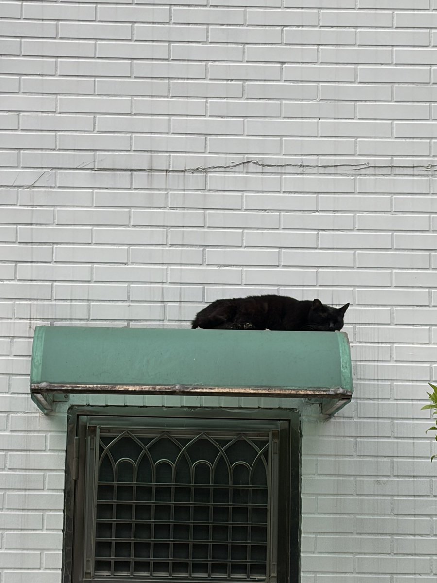 ꒰ঌ 沐海muhai ໒꒱ tweet media