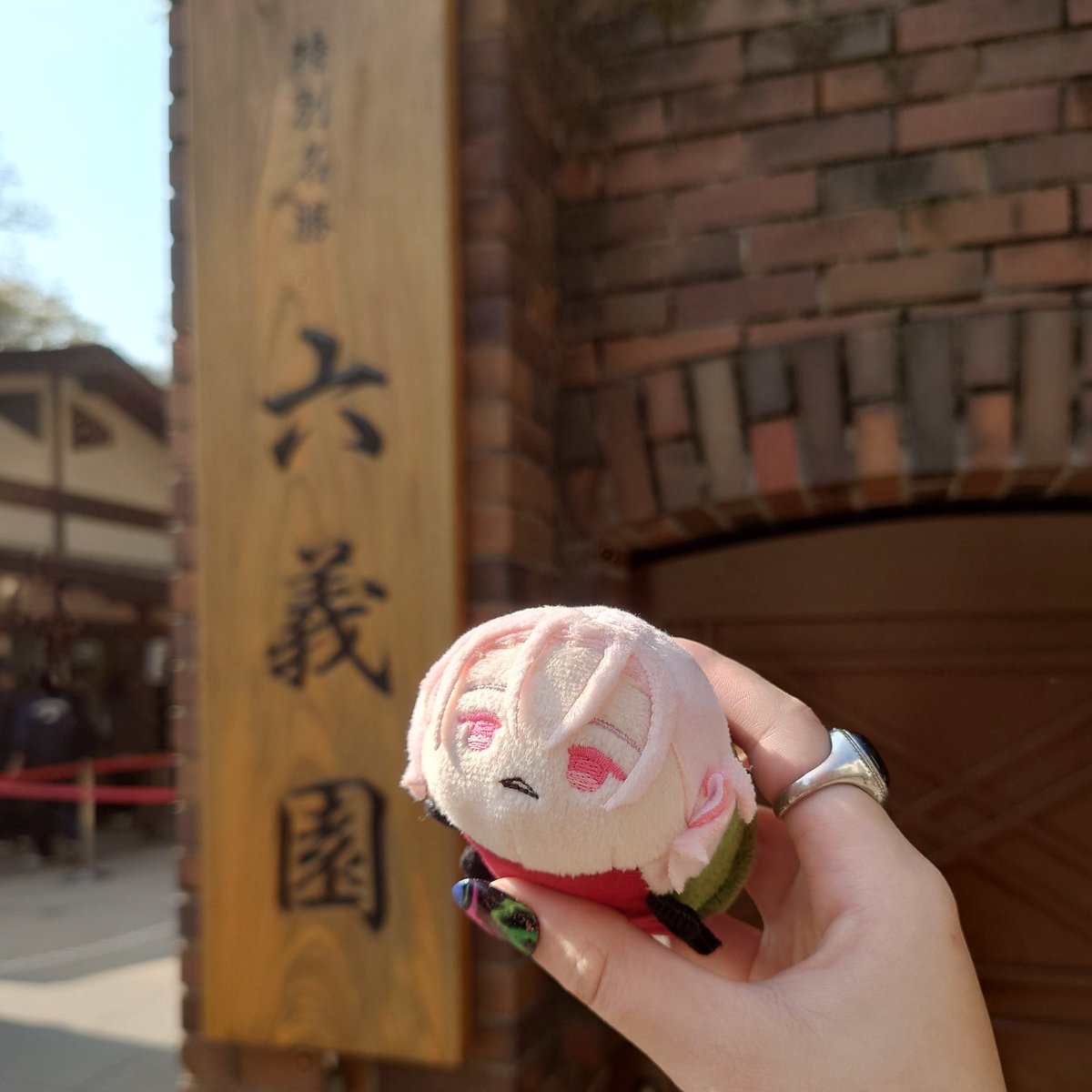 agepan328's tweet photo. おめでとう🌸これからも多くの人に末永く愛されますように
出会えて嬉しいです、本当にありがとう

記念すべき日に六義園を訪れることができてすごく幸せです🫶
散る花びらが美しくて、葉桜も君らしくて、素敵な景色に癒されました

#3月29日は村雲江重要文化財指定記念日 https://t.co/EcPCeIuaWm