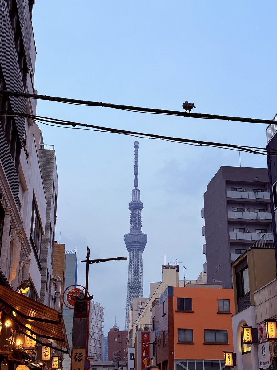 𝐾𝑢𝑟𝑒𝑢𝑟𝑢 / 庫雷露 tweet media