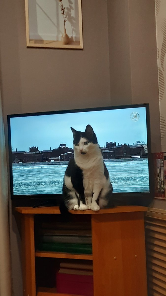 Talisman tweet media