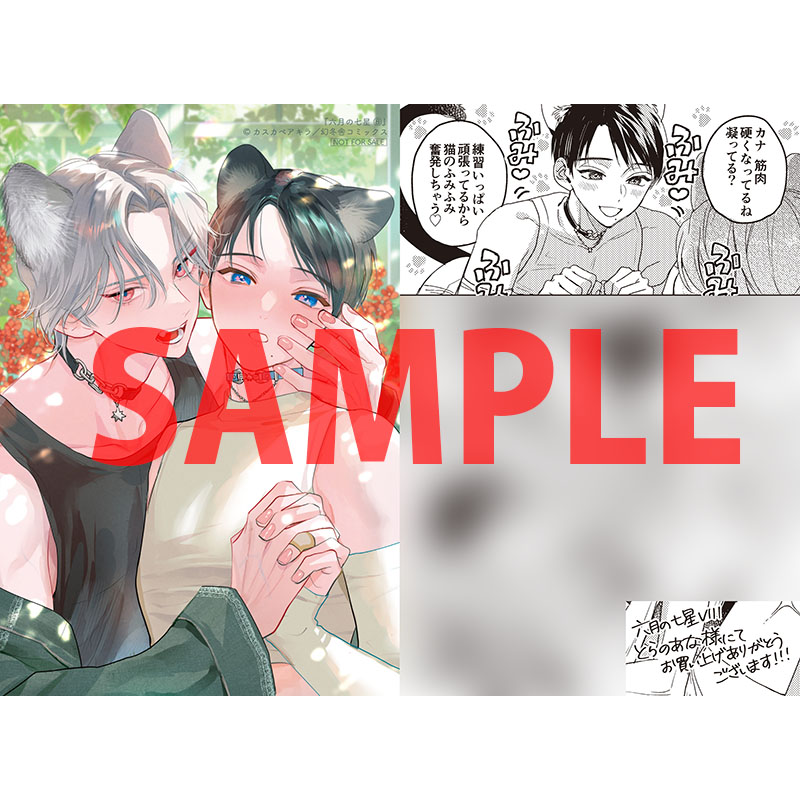 とらのあな女性向け担当（公式） tweet media