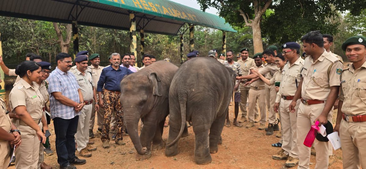 RCCF BHUBANESWAR tweet media