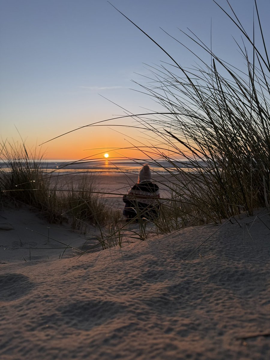 Holly 🐚🧜♀️☀️ tweet media