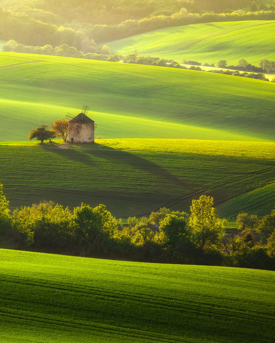 David Huang tweet media