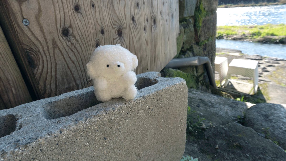 じょせまる tweet media