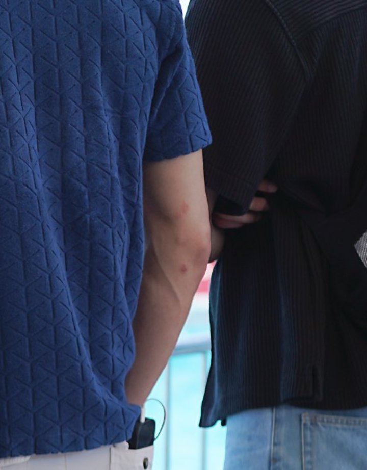 ♬⋆.˚αsα 🐹 tweet media