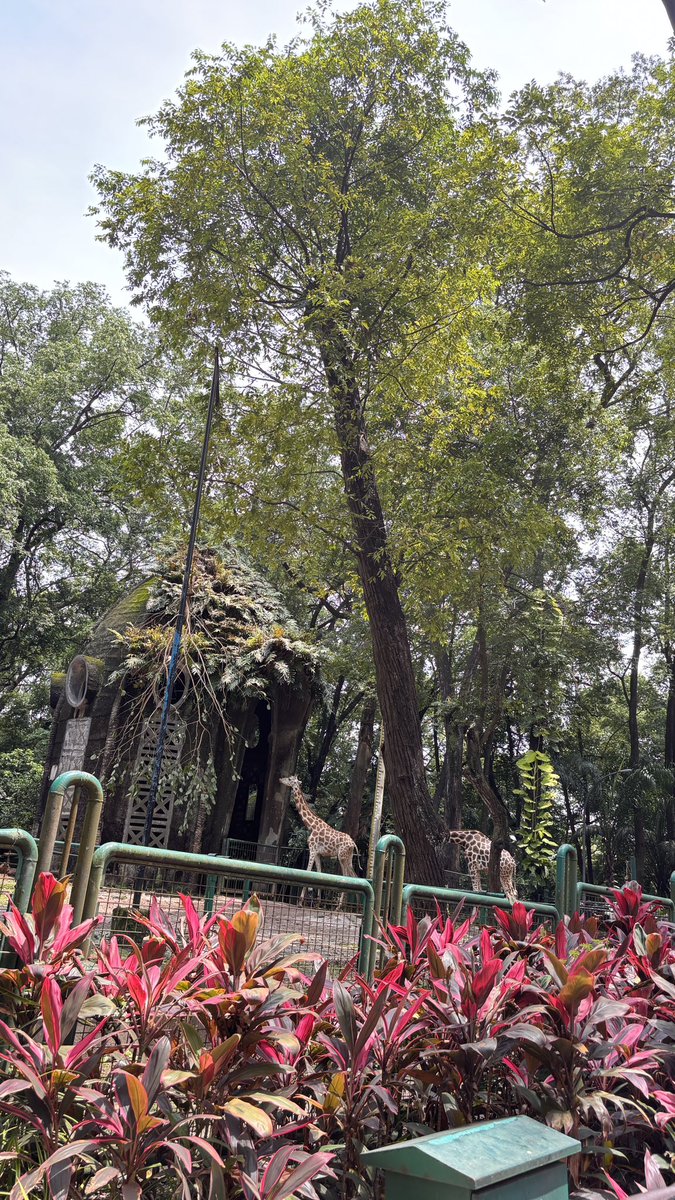 _your.piii tweet media