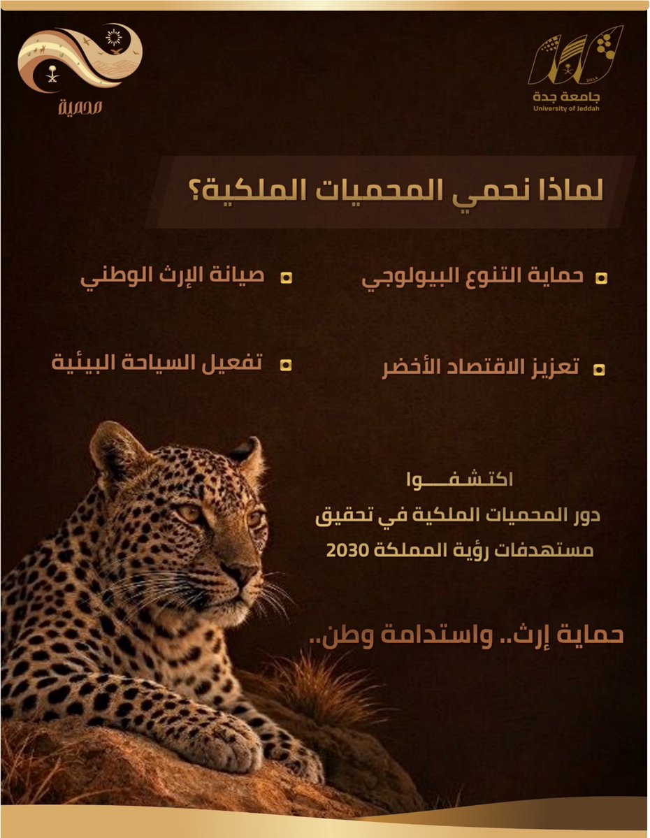 جامعة جدة tweet media