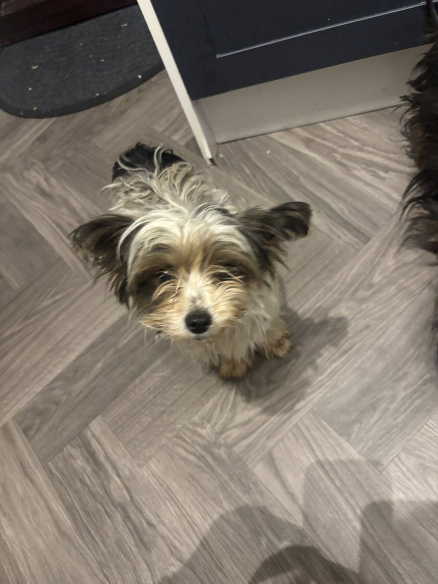 Ann Drogyne tweet media