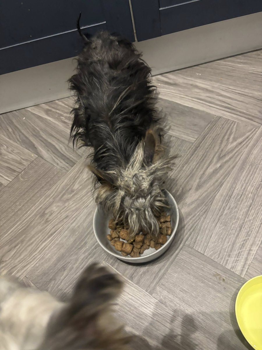 Ann Drogyne tweet media