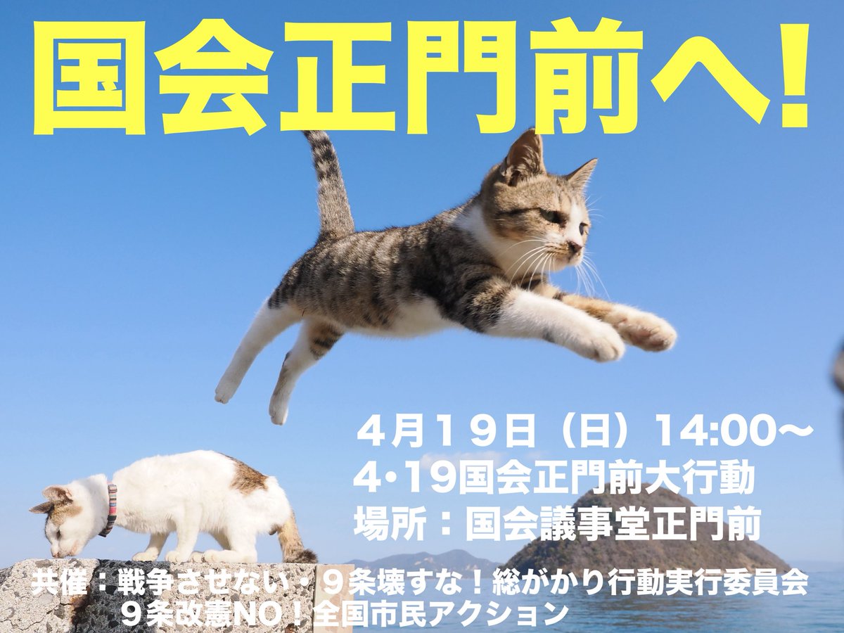 肉球新党「猫の生活が第一」 tweet media