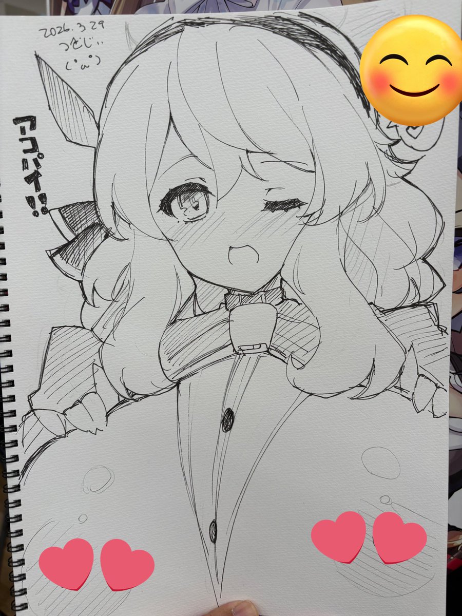 スケブアコパイ 