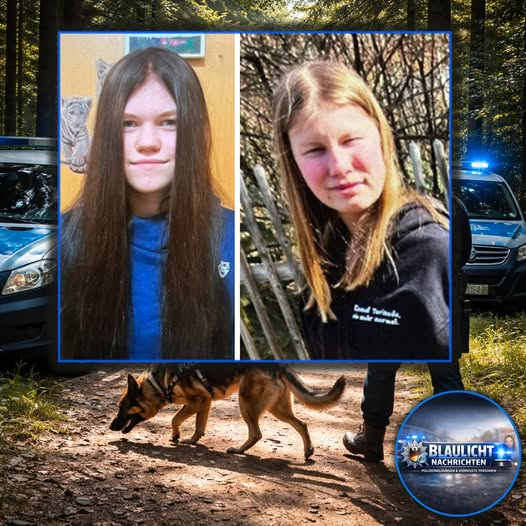 yolanda schultes tweet media