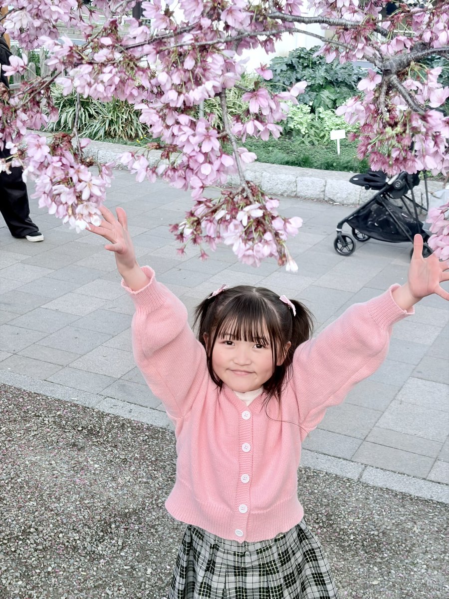 りーふぃあ tweet media