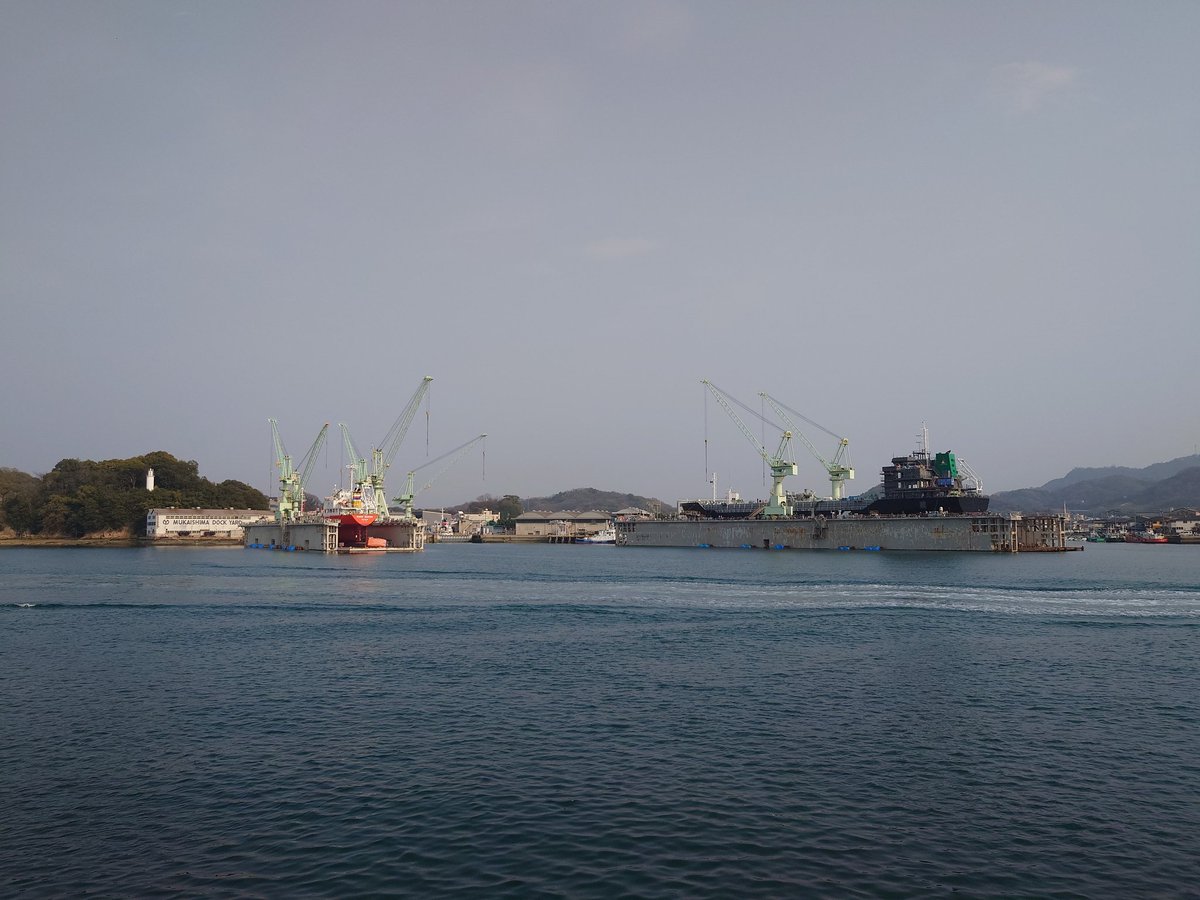 キングかす tweet media