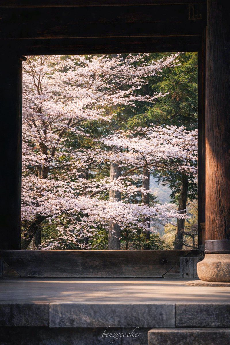 ベンジー tweet media