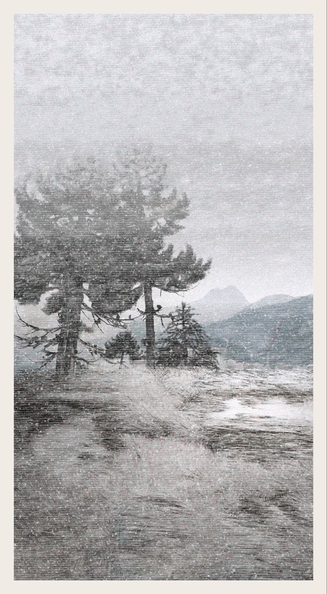 Qotonana tweet media