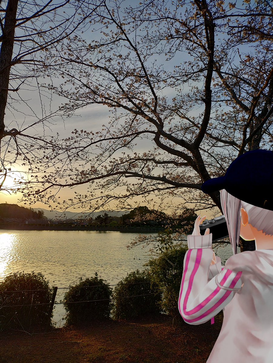 釜戸庭（かどにわ） tweet media