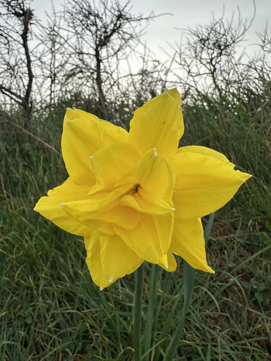 gnsymutterings tweet media