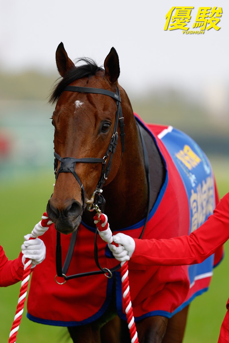 『優駿』編集部 tweet media