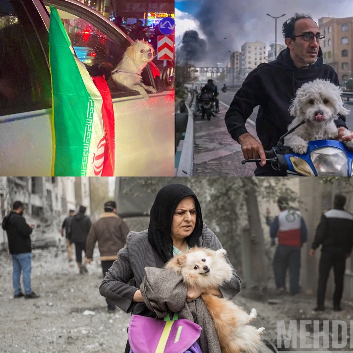 H. Ferdosy | ح. فردوسی tweet media