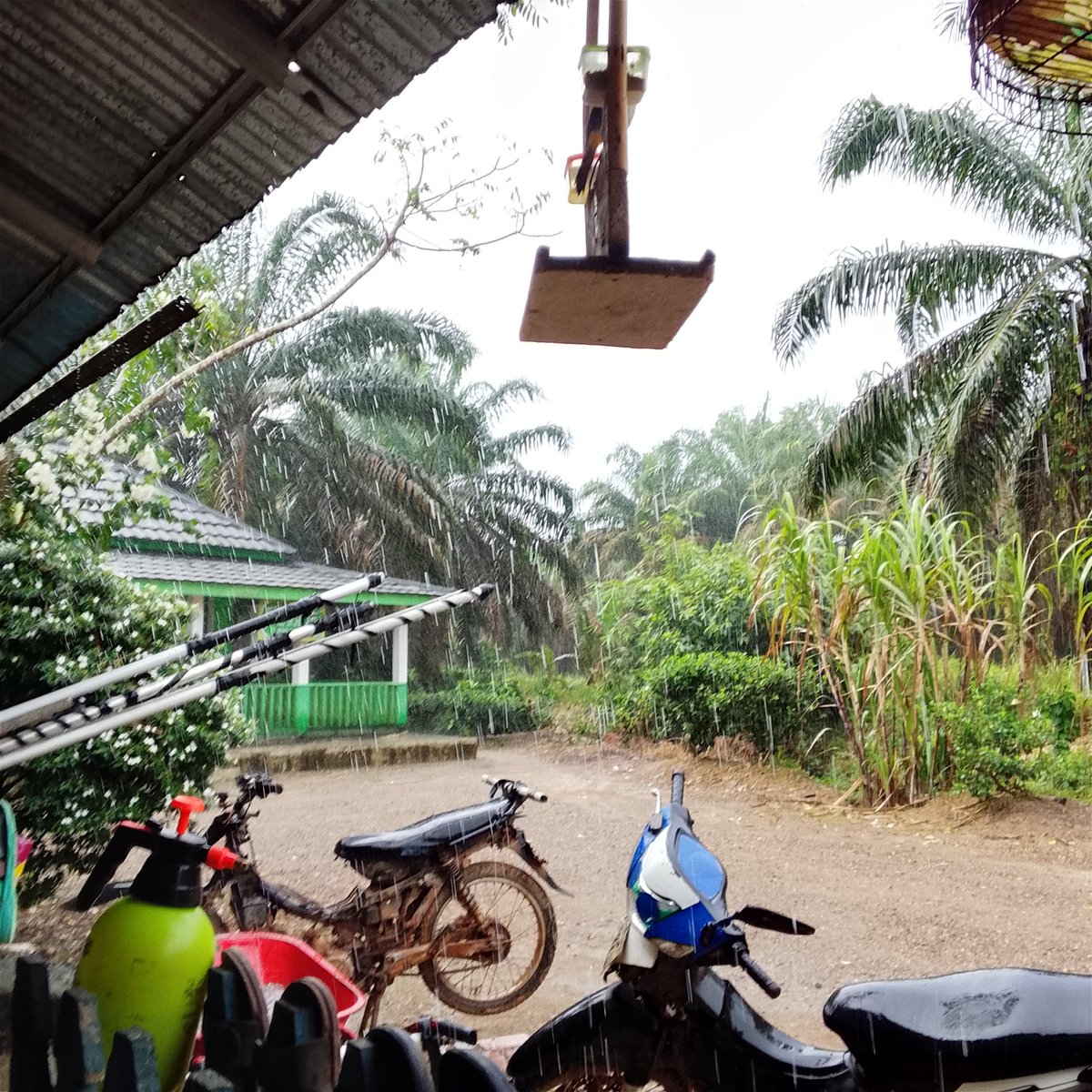 🅰️. tweet media