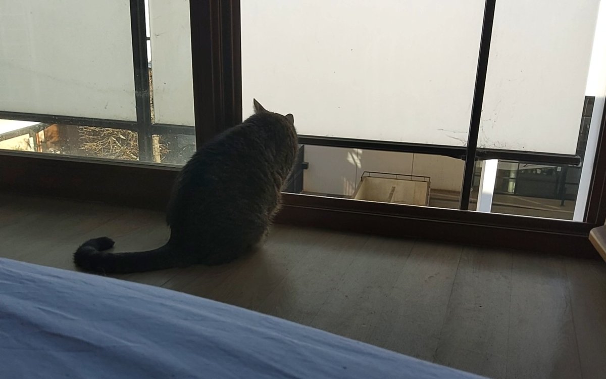 Don Grizzly Modeste tweet media